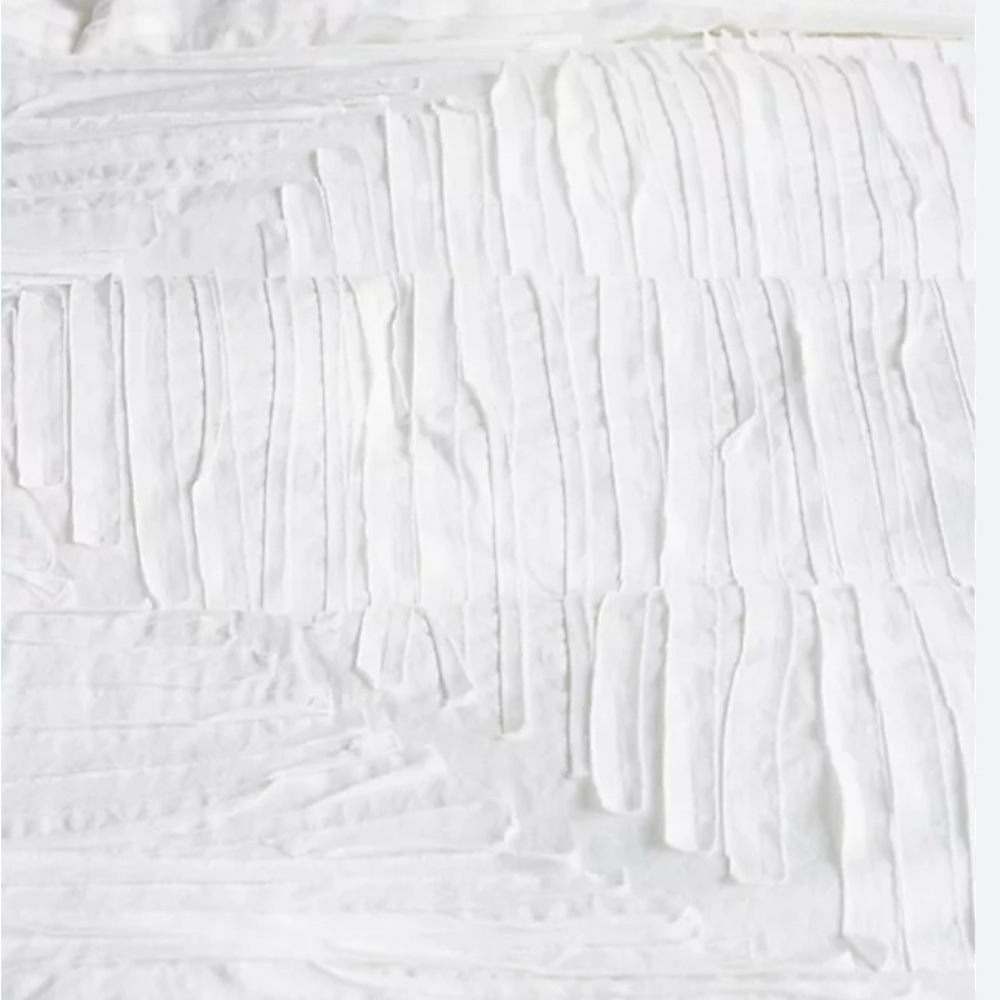 Anthropologie Vanderbilt King Comforter and Shams